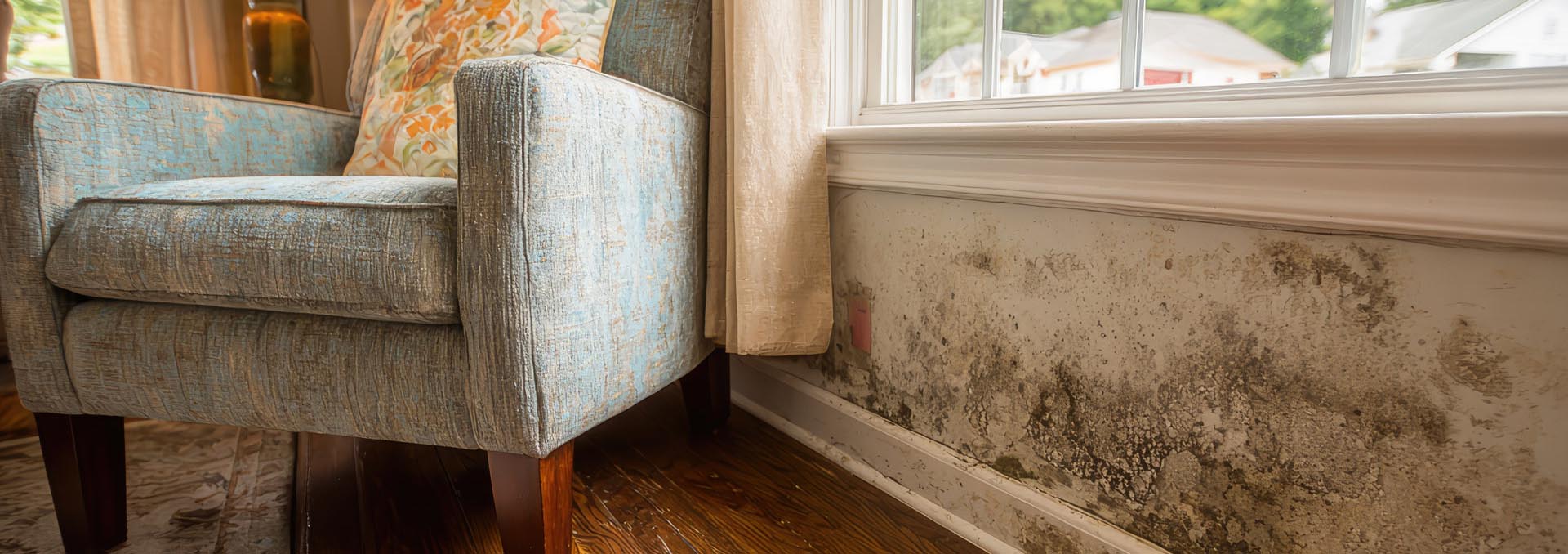 Damp Room 2