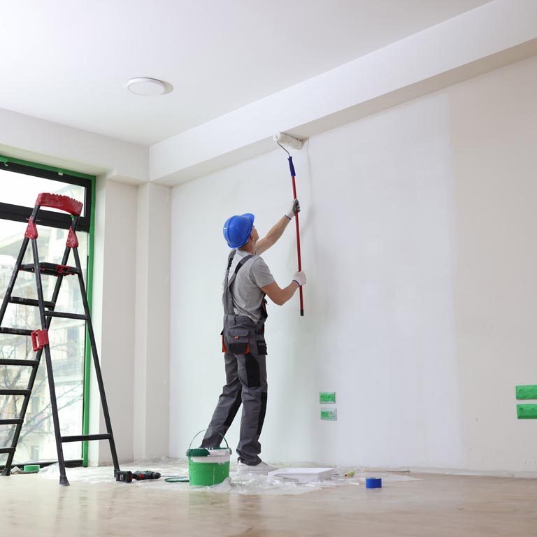 damp repairs